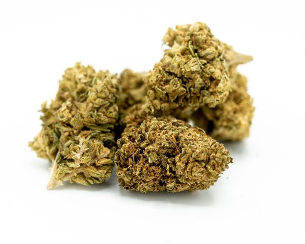 Cherry-2-1.jpg Malibu Exotic