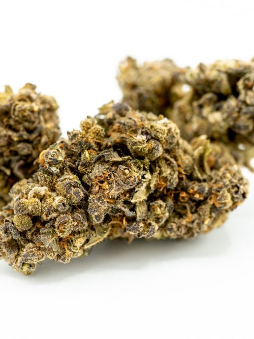 Purple Gelato