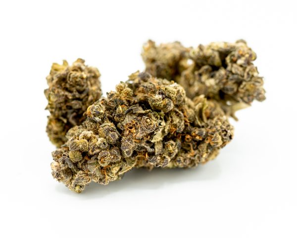 Purple Gelato