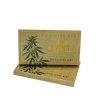 chewing gum CBD Mint