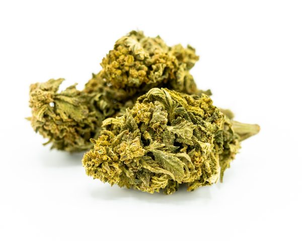 Mango-2.jpg Tropical CBG