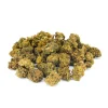 Mushroom 20g Mushroom