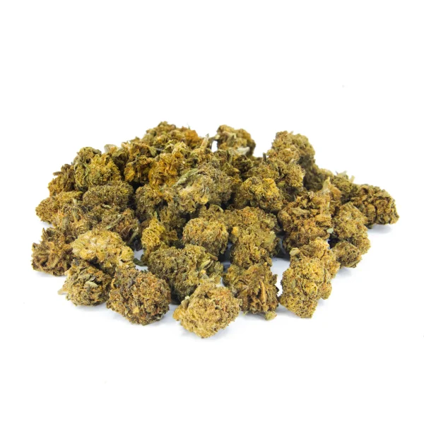 Mushroom 20g Mushroom