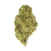 amnesia Amnesia 3g