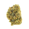 C.berry 3
