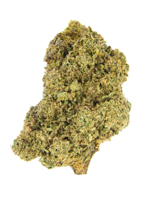 lemon sorbet Plutonium 1g 3g 10g