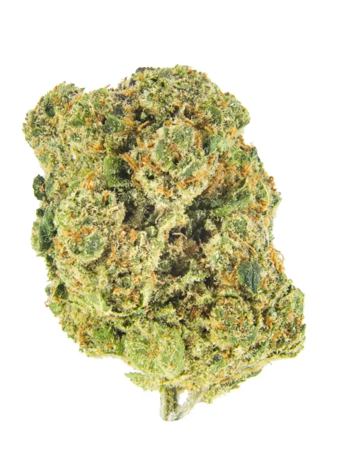 white Widow 20g